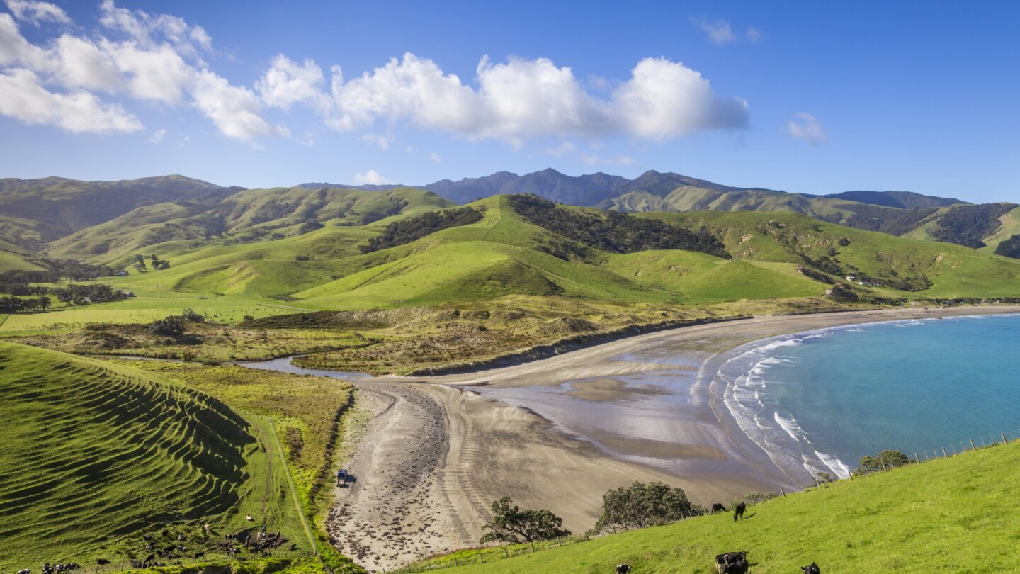 Erstmals in Neuseeland