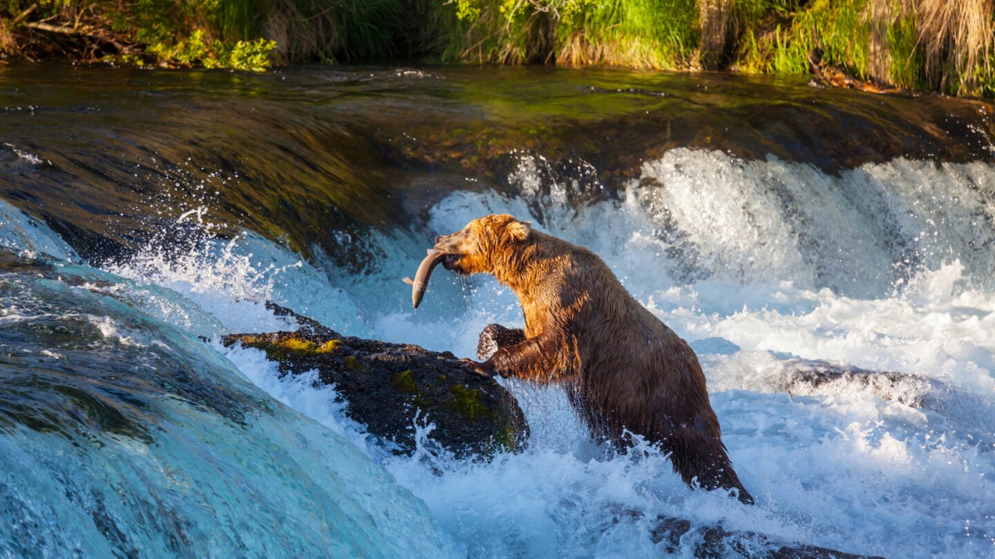 Natur pur in British Columbia
